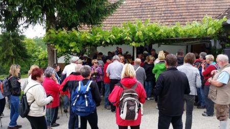 10. pohod Pomlad v prleških goricah 1